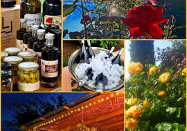 Golden Hour im Weinwohnzimmer