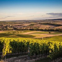 Landschaft © Winzerhof Schnabel