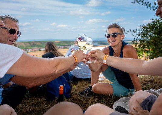 WeinGroove &copy; inMEDIA