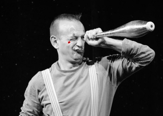 Zopp macht Zirkus