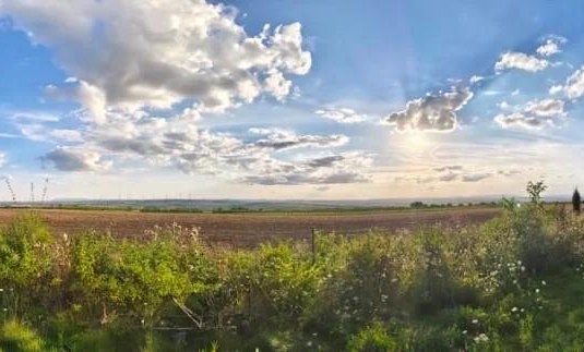 Camping auf dem Weingut © Weingut Keßler