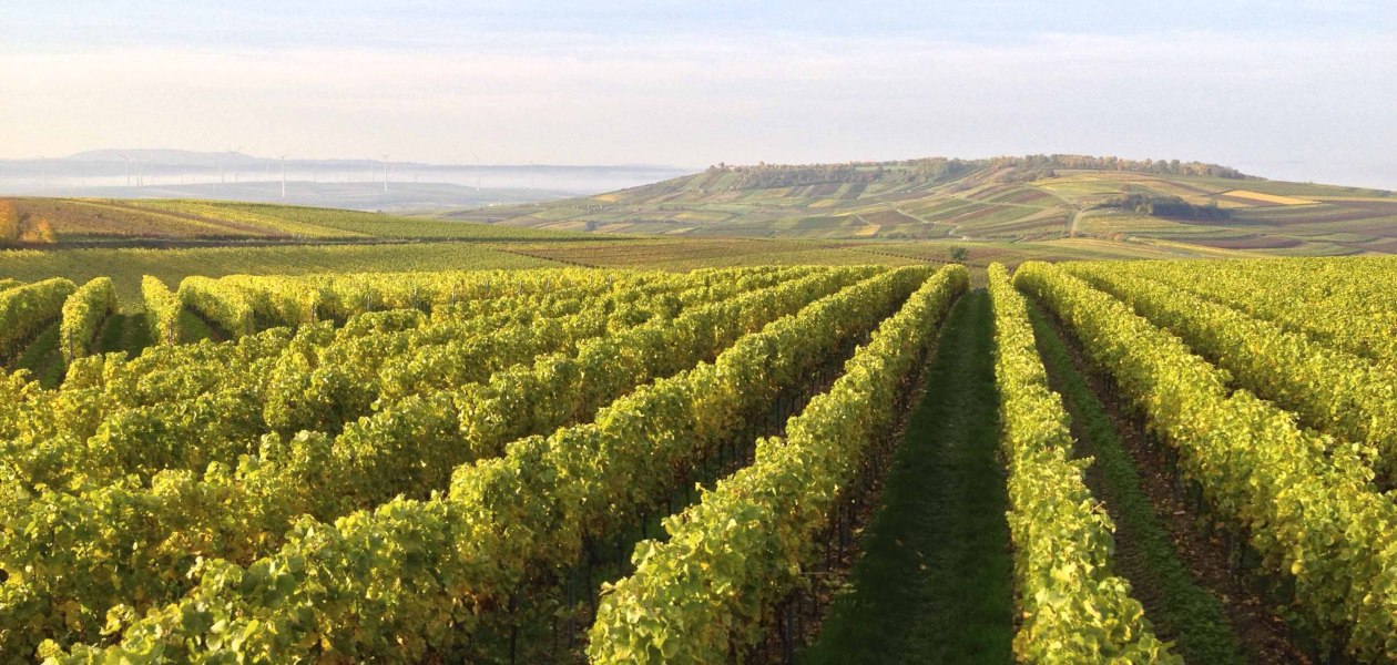 Katharinenhof1, &copy; Weingut Kathrinenhof