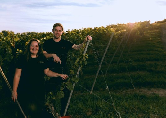 Weinerlebnistag &copy; Weingut Rollanderhof Saulheim