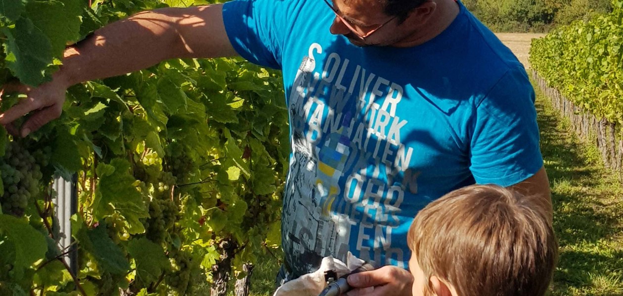 &copy; Weingut Schnabel