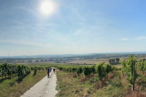 Wildtulpentour, &copy; Andreas Reithmeier-Schmitt