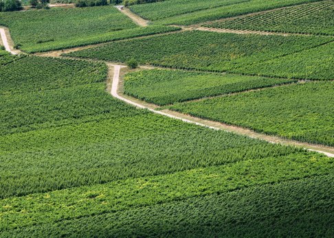 <p>Verkauft an Rheinhessen Touristik</p>
