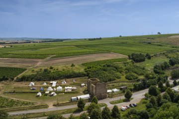 Eckelsheimer Eseltreiber, &copy; Torsten Silz