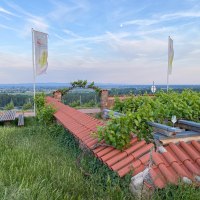Blick von der alten Mistkaut am RheinTerrassenWeg