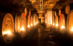 Weingut Oswald Probe des junden Weines &copy; Weingut Burghof Oswald, 67583 Guntersblum