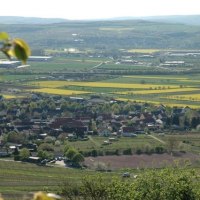 Dromersheim &copy; Hartmann