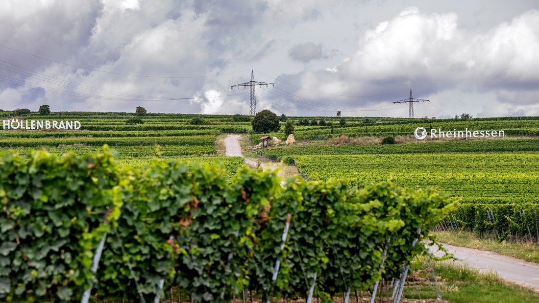 Gundersheimer Höllenbrand
