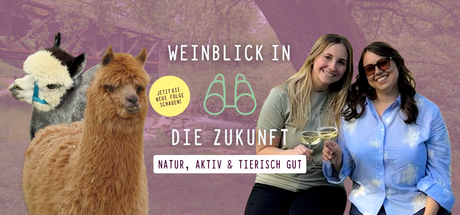 Cover Webserie Folge 11