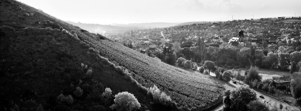 Johannisberg-Wallhausen - 2, &copy; Prinz zu Salm-Dalberg'sches