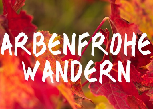 Farbenfrohes Wandern &copy; Tourist Info VG Sprendlingen-Gensingen