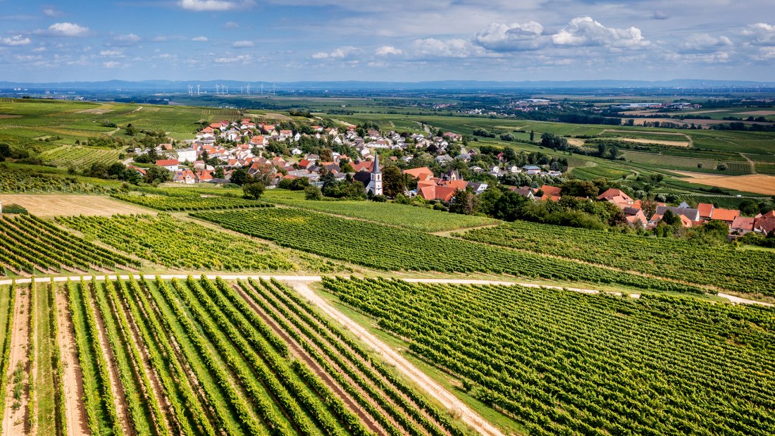 M&ouml;lsheimer Zellerweg am Schwarzen Herrgott