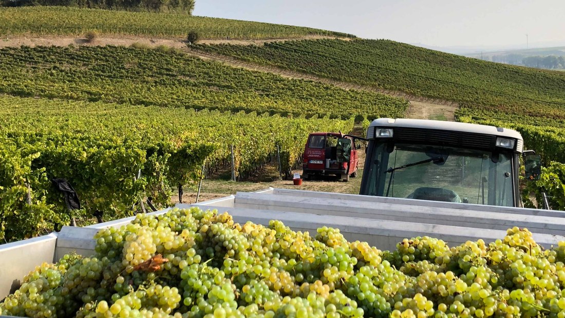 &copy; Ch.W. Bernhard