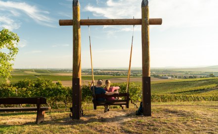 Wingertsschaukel Rheinhessen, © Dominik Ketz