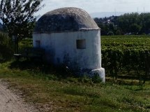 Trullo im Silberberg &copy; VG Monsheim