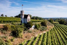 Osthofener Leckzapfen