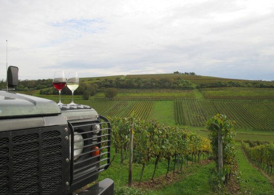 Weinsafari IMG_1882