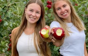 Apfelfest &copy; Obsthof Appel Happel