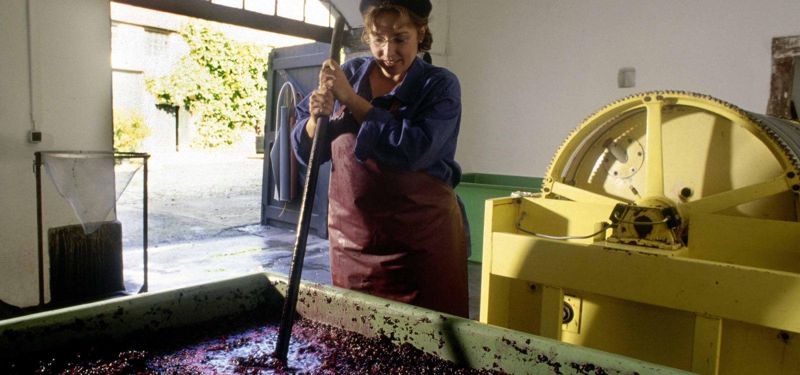 Maische, Maischeg&auml;rung, &copy; DWI