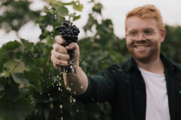 Peter - Pinot - Weingut Dr. Hinkel, &copy; Sven Hasselbach