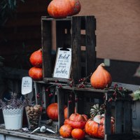 IMG_5830