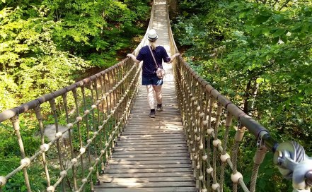 H&auml;ngebr&uuml;cke-Binger-Wald-Baumgeistertour