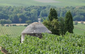 ausgezeichnetes Heisje &copy; Michael Jung