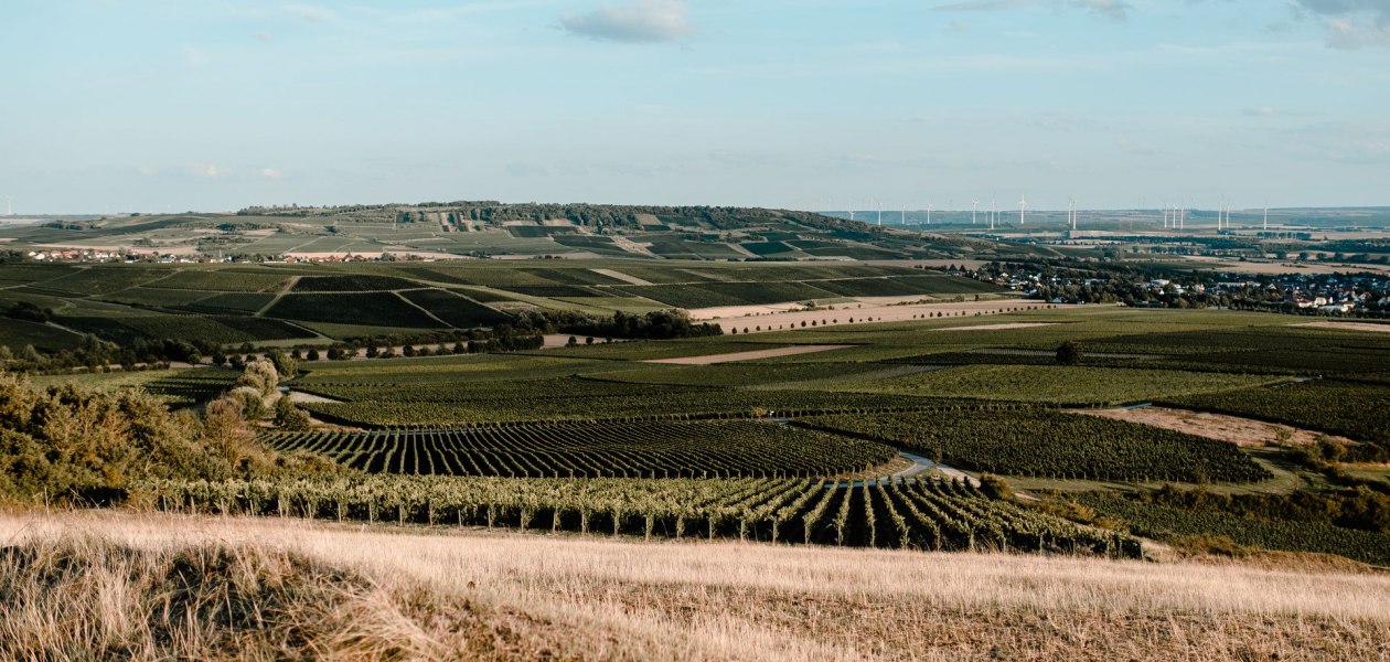 Andreas Brummund_Weinberge 2, &copy; Andreas Brummund - die WeinWerkstatt