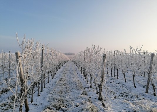 Winterwanderung auf der Hiwwltour