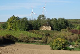 Steinkaut &copy; by inMEDIA