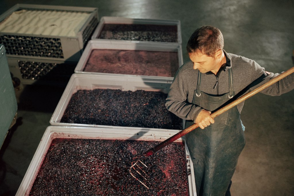 &copy; Weingut Lorenz