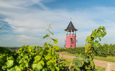Burgunderturm an der Hiwweltour Neuborn, © Dominik Ketz