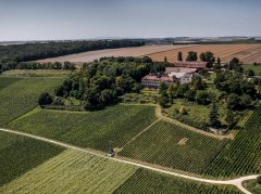 Weinlage Schloss Westerhaus &copy; Torsten Silz