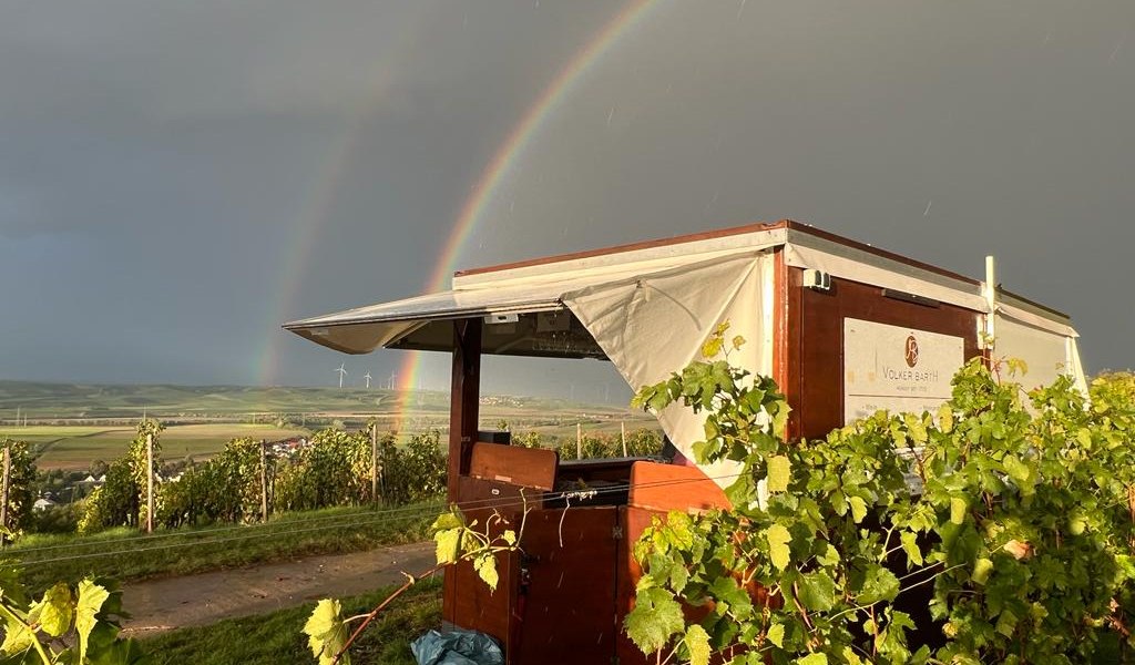 PHOTO-2023-09-22-21-00-19, &copy; Weingut Barth