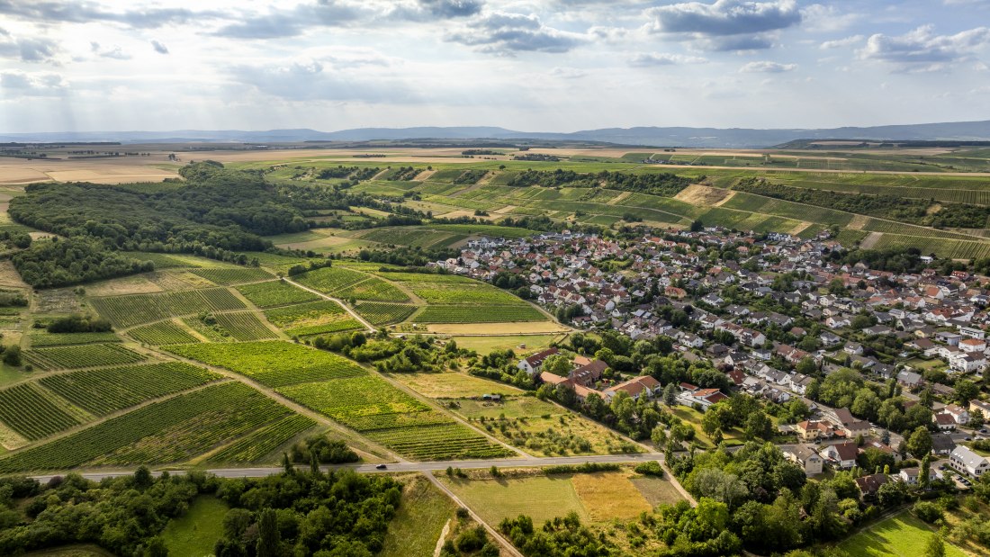 Partenheimer Sankt Georgen-053 Kopie