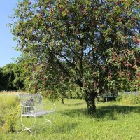 Garten f&uuml;r alle G&auml;ste