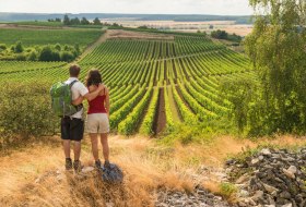 Uitzicht op het landschap bij Hiwweltour Heideblick &copy; &copy; Dominik Ketz