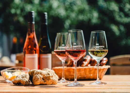 Weinfr&uuml;hling &copy; Weingut Lamberth