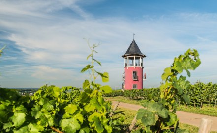 Burgunderturm an der Hiwweltour Neuborn, &copy; Dominik Ketz