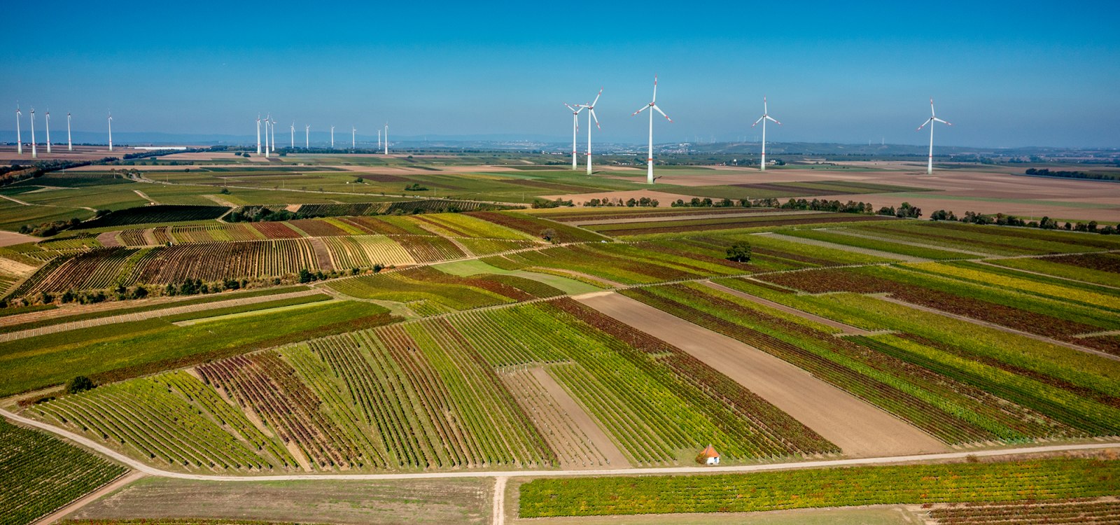 Biebelnheimer Rosengarten