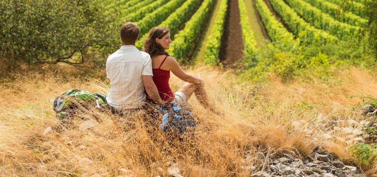 Rebenmeer Rheinhessen, © © Dominik Ketz | Rheinhessen Toursitik GmbH