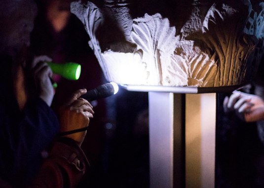 _MG_8653-2 TLF Kapitell