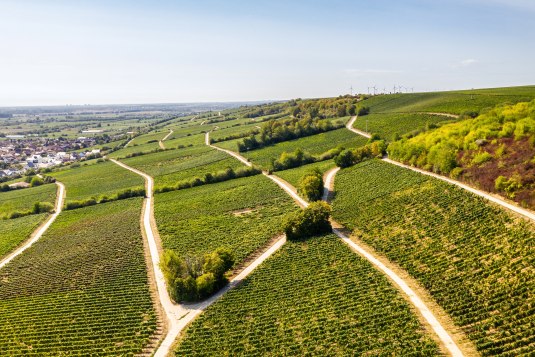 Views from the RheinTerrassenWeg, &copy; CC BY SA 4.0 Dominik Ketz