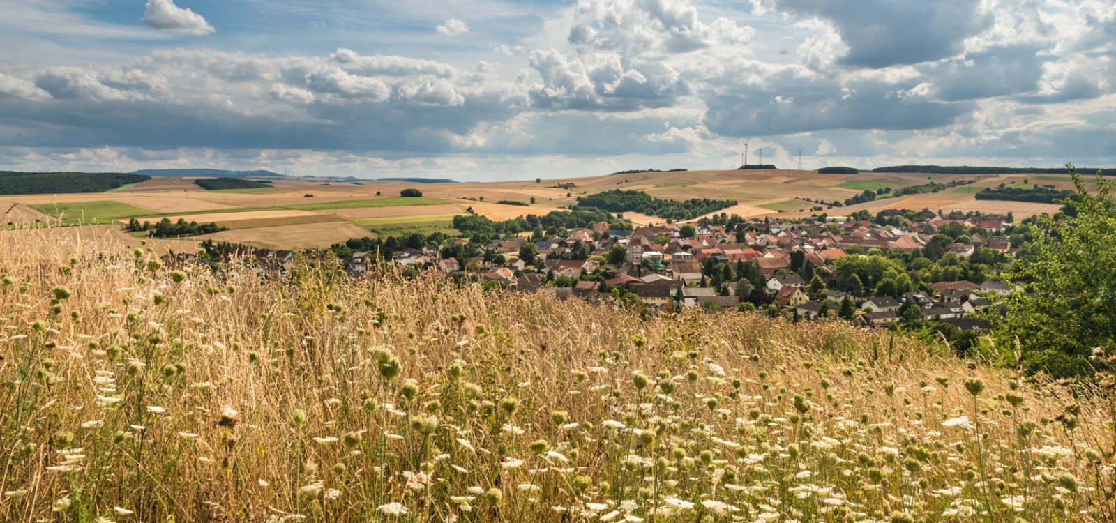 Blick &uuml;ber die Landschaft, &copy; Dominik Ketz