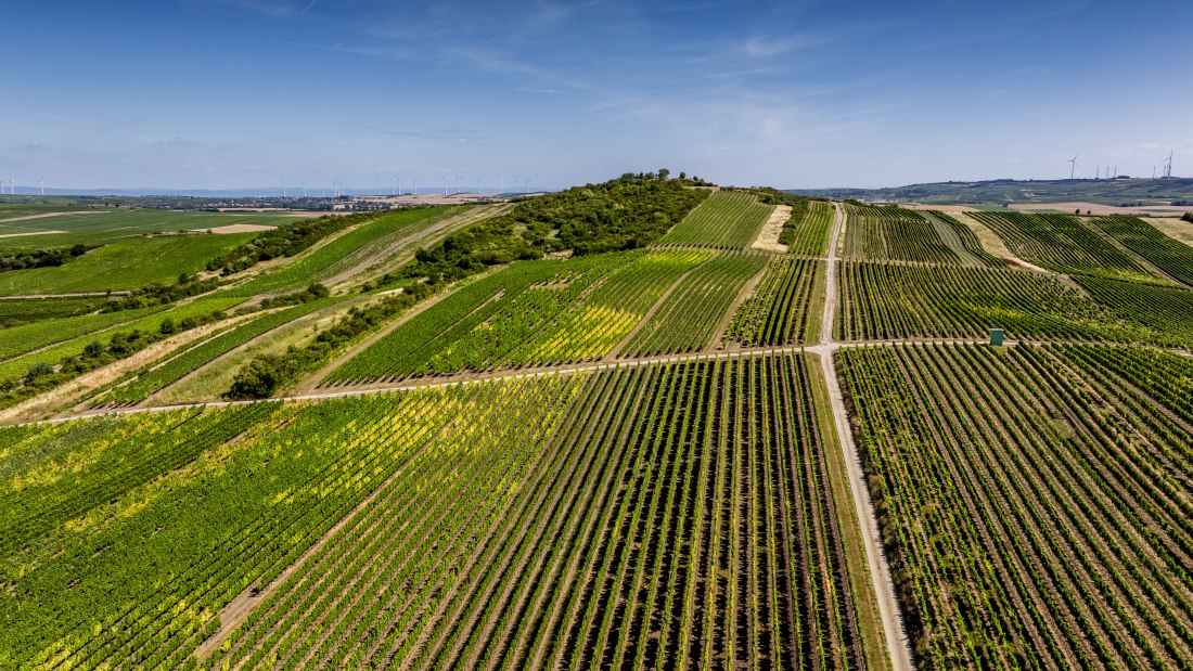 Bechtolsheimer Klosterberg-083 Kopie