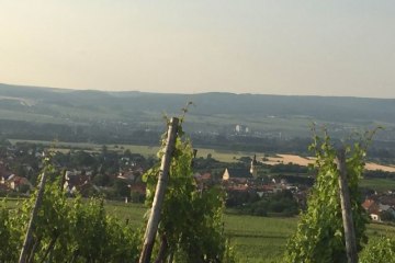 &copy; FamilienWeinGut Feser