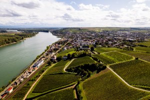 Nierstein_Weinberg